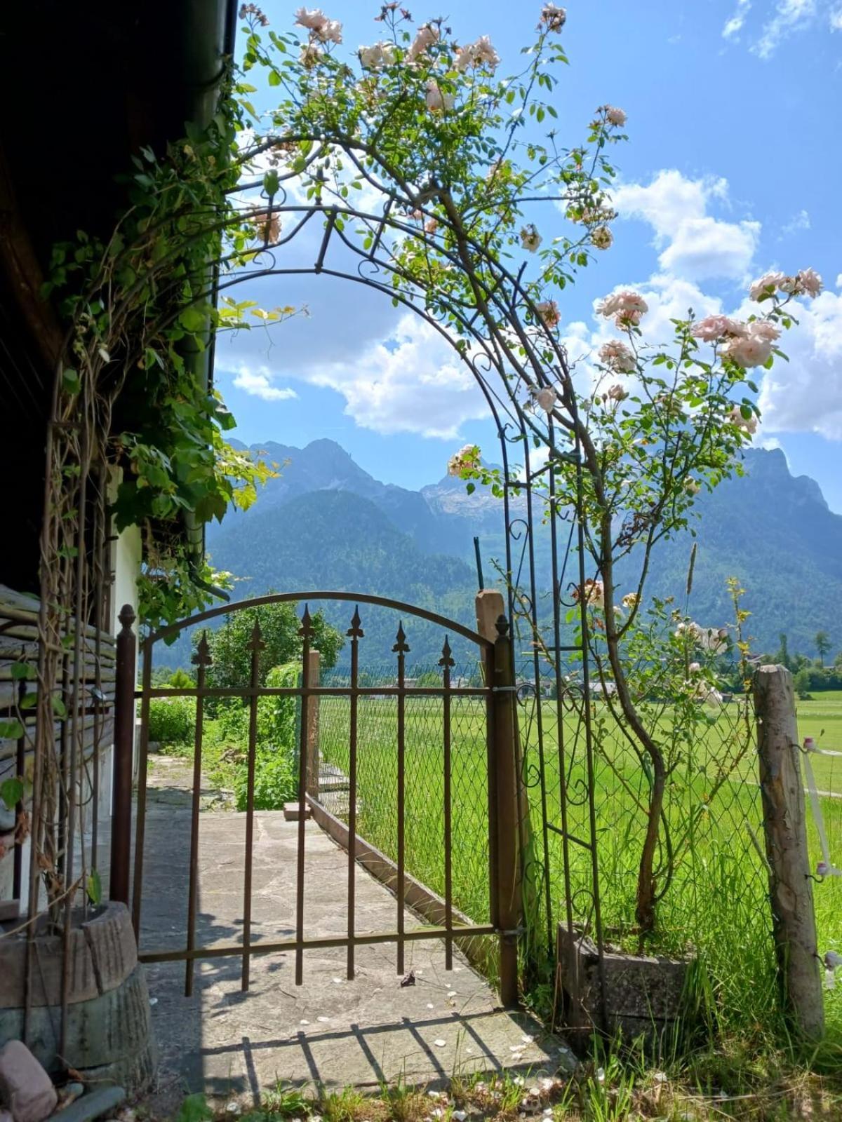 Appartement Scheffsnoth Lofer